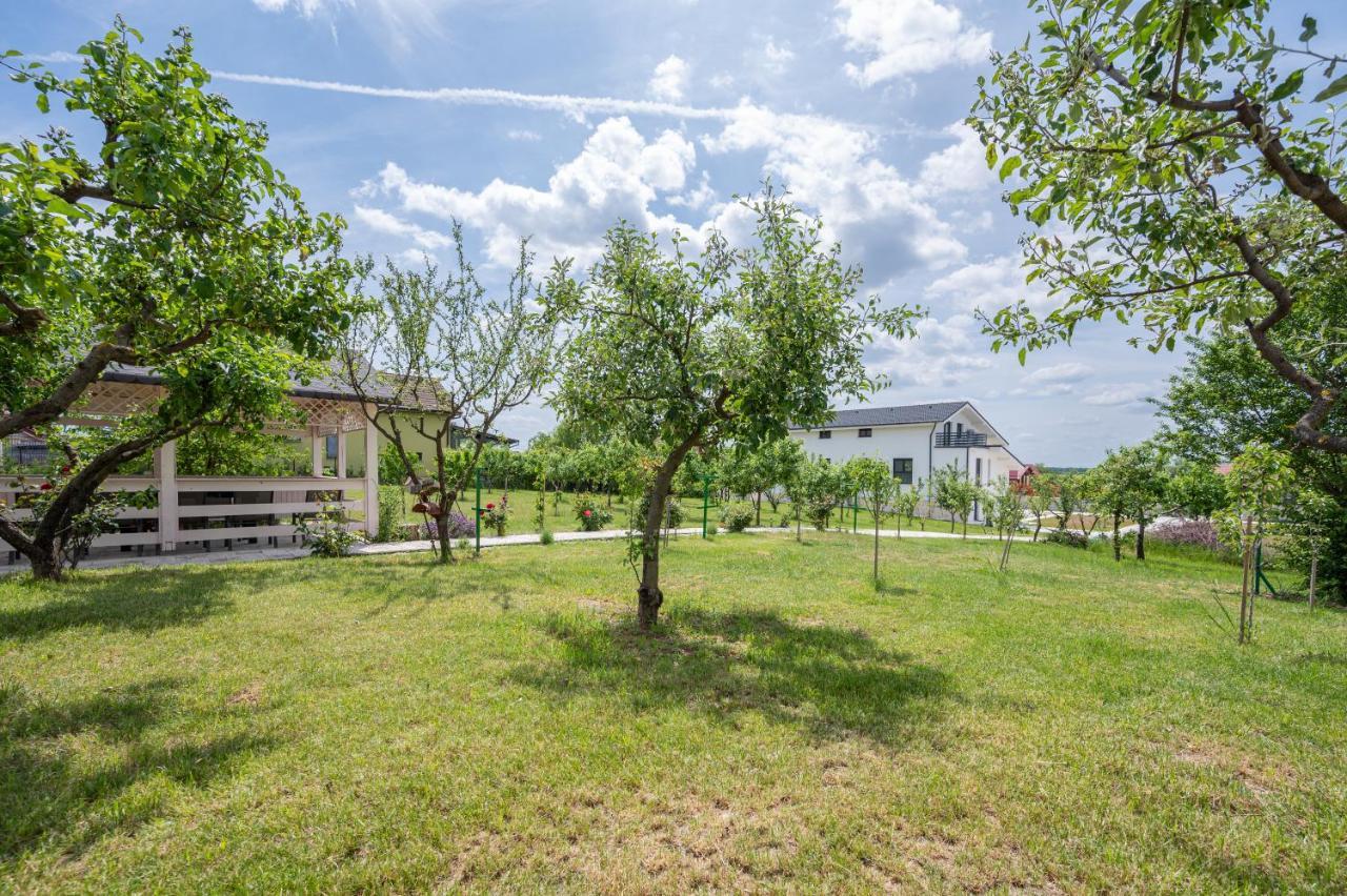 Casa Fischer Apartment Ciheiu Екстериор снимка